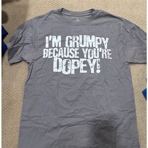 Grumpy Gray Disneyland Graphic T-Shirt